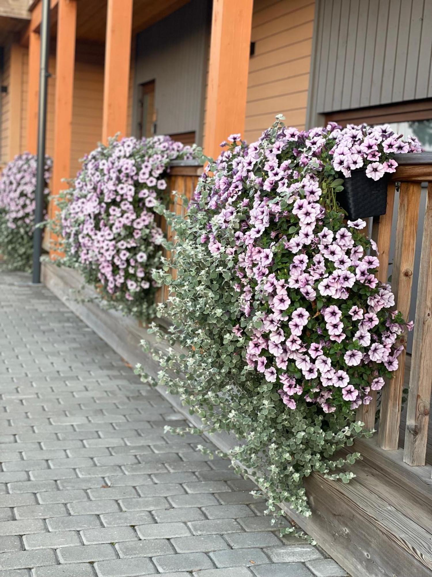 Bestes Apartamenti Koceni Exterior foto